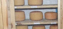 Réserve de fromages